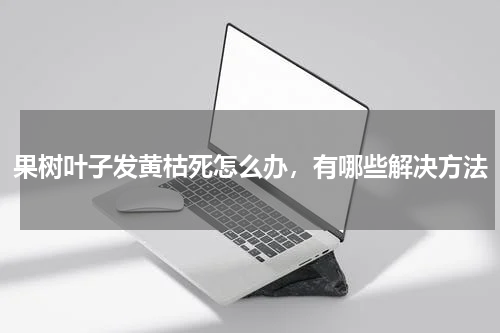 果树叶子发黄枯死怎么办，有哪些解决方法