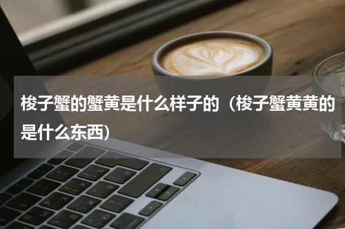 梭子蟹的蟹黄是什么样子的(梭子蟹黄黄的是什么东西)