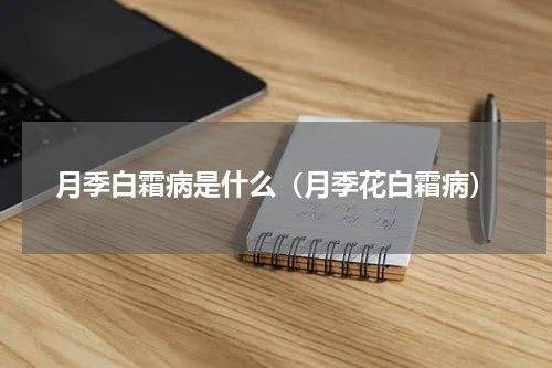 月季白霜病是什么（月季花白霜病）