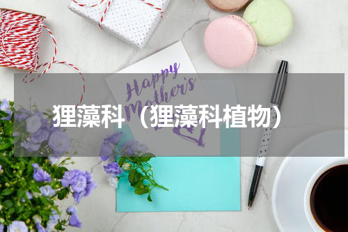 狸藻科（狸藻科植物）