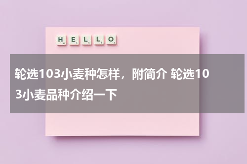 轮选103小麦种怎样，附简介 轮选103小麦品种介绍一下