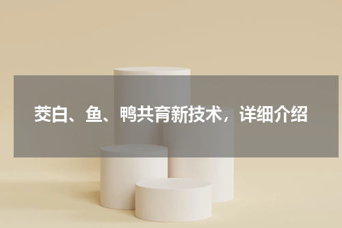 茭白、鱼、鸭共育新技术，详细介绍