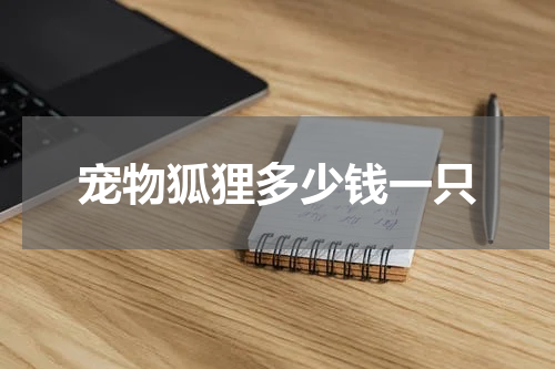 宠物狐狸多少钱一只