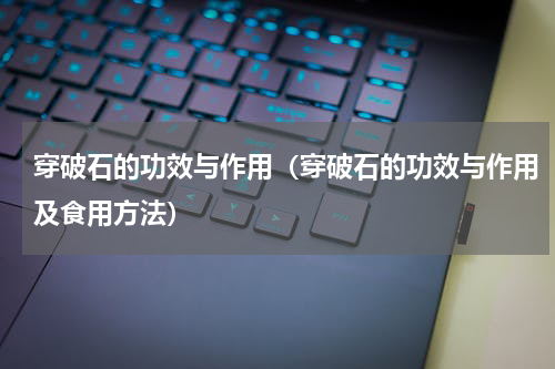 穿破石的功效与作用（穿破石的功效与作用及食用方法）