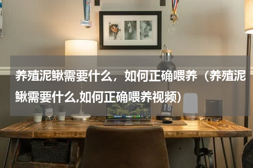 养殖泥鳅需要什么，如何正确喂养（养殖泥鳅需要什么,如何正确喂养视频）