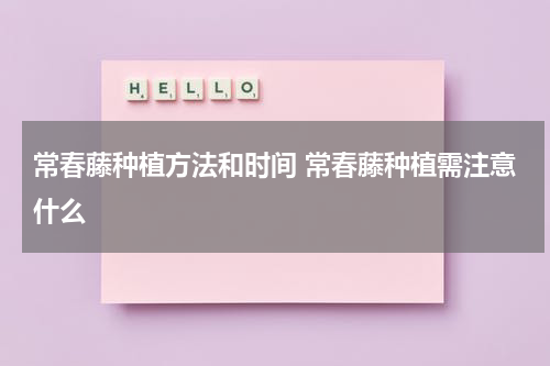 常春藤种植方法和时间 常春藤种植需注意什么