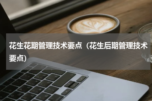 花生花期管理技术要点（花生后期管理技术要点）