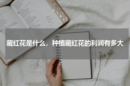 藏红花是什么，种植藏红花的利润有多大
