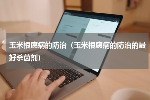 玉米根腐病的防治（玉米根腐病的防治的最好杀菌剂）