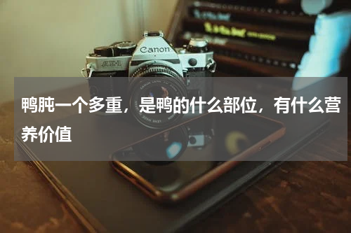 鸭肫一个多重，是鸭的什么部位，有什么营养价值
