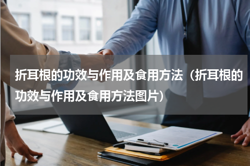 折耳根的功效与作用及食用方法（折耳根的功效与作用及食用方法图片）