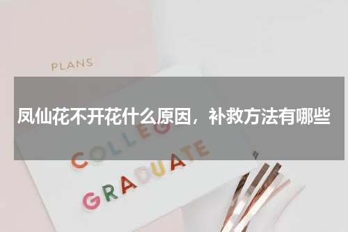 凤仙花不开花什么原因，补救方法有哪些