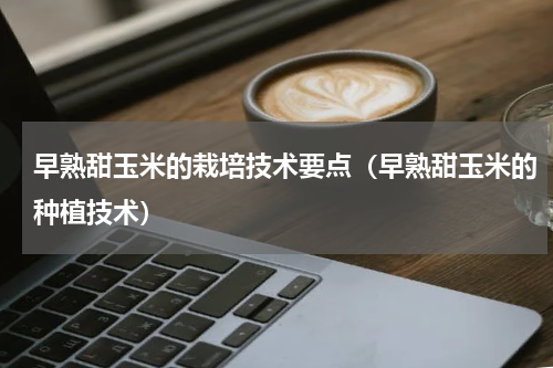 早熟甜玉米的栽培技术要点(早熟甜玉米的种植技术)