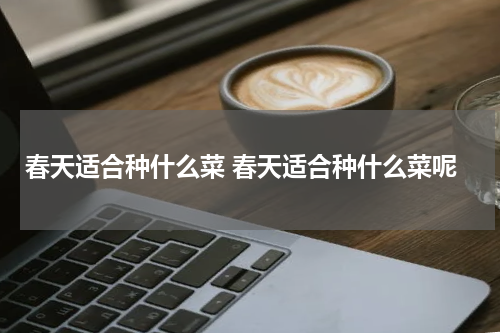 春天适合种什么菜 春天适合种什么菜呢