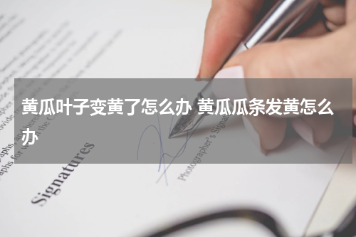 黄瓜叶子变黄了怎么办 黄瓜瓜条发黄怎么办