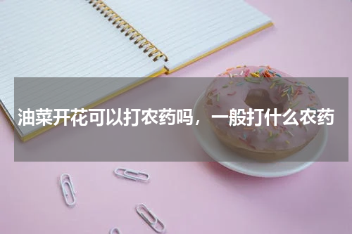 油菜开花可以打农药吗，一般打什么农药