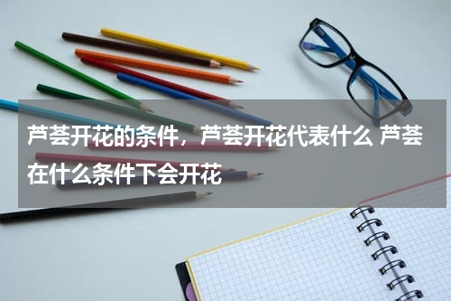 芦荟开花的条件，芦荟开花代表什么 芦荟在什么条件下会开花