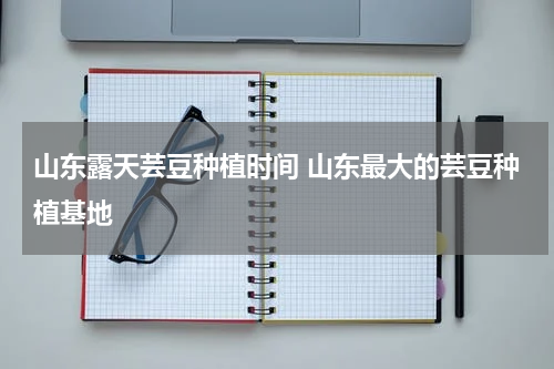 山东露天芸豆种植时间 山东最大的芸豆种植基地