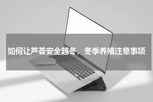 如何让芦荟安全越冬，冬季养殖注意事项