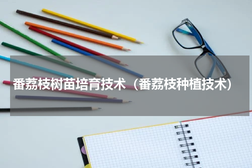 番荔枝树苗培育技术（番荔枝种植技术）