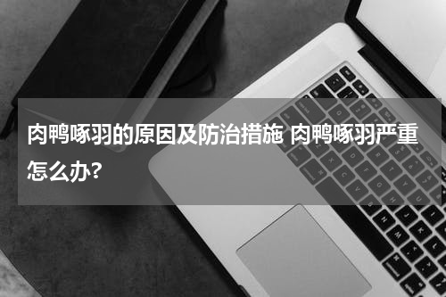 肉鸭啄羽的原因及防治措施 肉鸭啄羽严重怎么办?