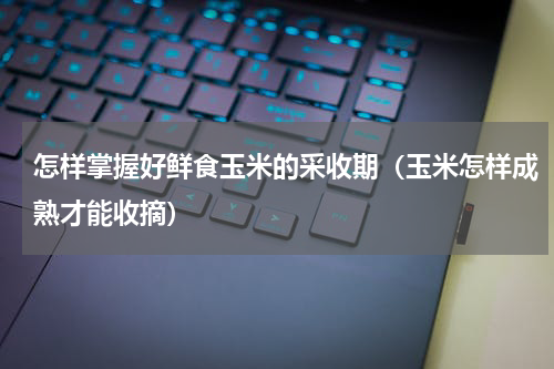 怎样掌握好鲜食玉米的采收期(玉米怎样成熟才能收摘)