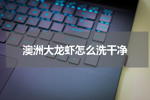 澳洲大龙虾怎么洗干净