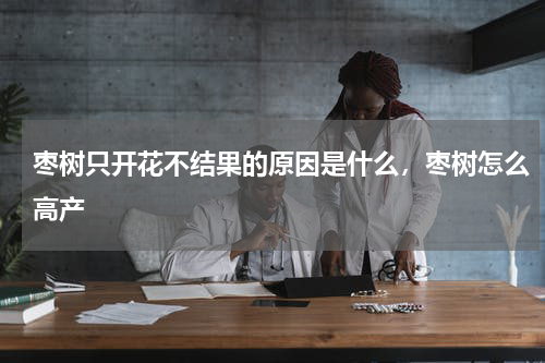 枣树只开花不结果的原因是什么，枣树怎么高产