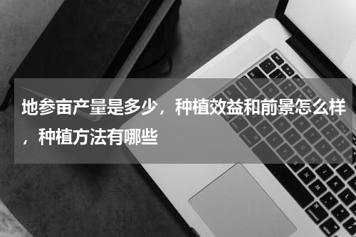 地参亩产量是多少，种植效益和前景怎么样，种植方法有哪些
