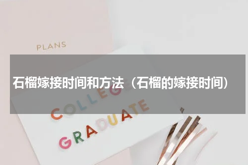 石榴嫁接时间和方法(石榴的嫁接时间)