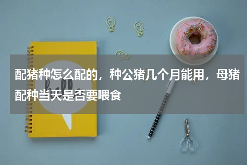配猪种怎么配的，种公猪几个月能用，母猪配种当天是否要喂食