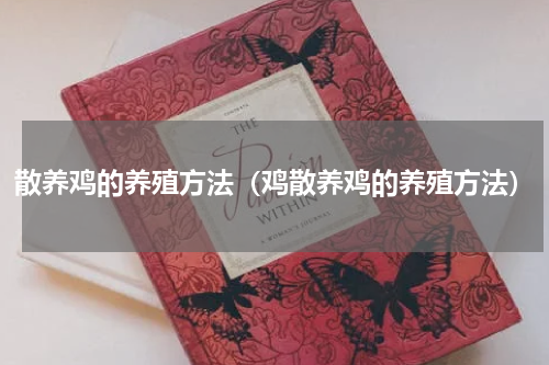 散养鸡的养殖方法（鸡散养鸡的养殖方法）