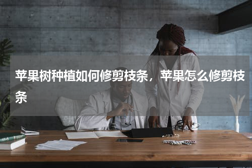 苹果树种植如何修剪枝条，苹果怎么修剪枝条