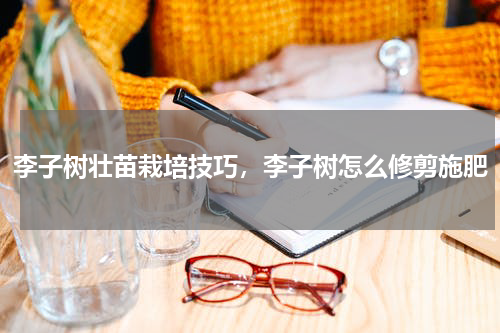 李子树壮苗栽培技巧，李子树怎么修剪施肥