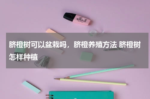 脐橙树可以盆栽吗，脐橙养殖方法 脐橙树怎样种植