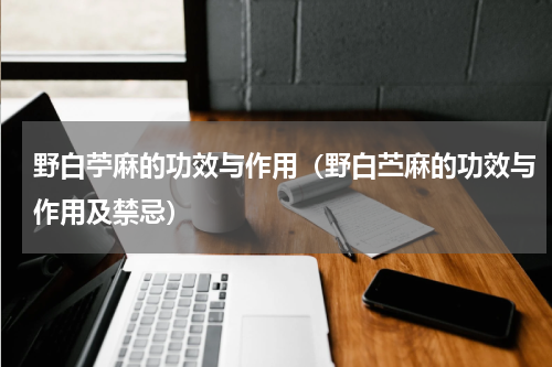 野白苧麻的功效与作用（野白苎麻的功效与作用及禁忌）