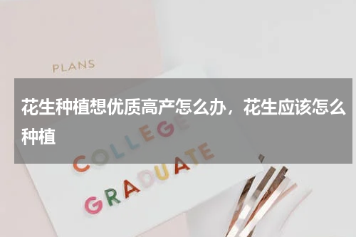 花生种植想优质高产怎么办，花生应该怎么种植