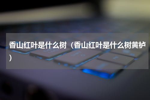 香山红叶是什么树（香山红叶是什么树黄栌）