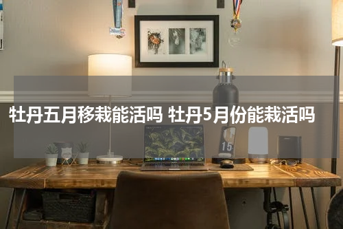 牡丹五月移栽能活吗 牡丹5月份能栽活吗