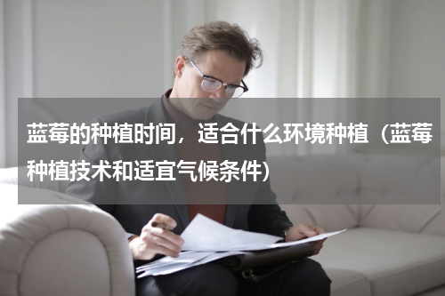 蓝莓的种植时间，适合什么环境种植（蓝莓种植技术和适宜气候条件）