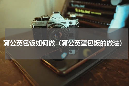 蒲公英包饭如何做（蒲公英蛋包饭的做法）