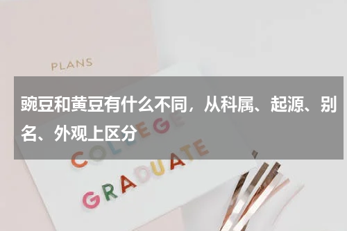 豌豆和黄豆有什么不同，从科属、起源、别名、外观上区分