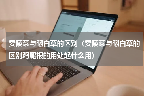 委陵菜与翻白草的区别（委陵菜与翻白草的区别鸡腿根的用处起什么用）