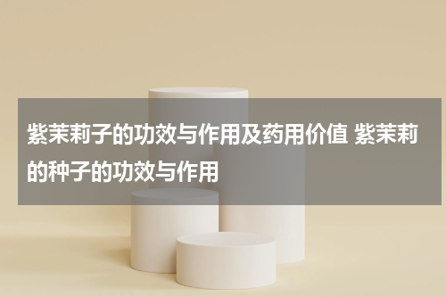 紫茉莉子的功效与作用及药用价值 紫茉莉的种子的功效与作用