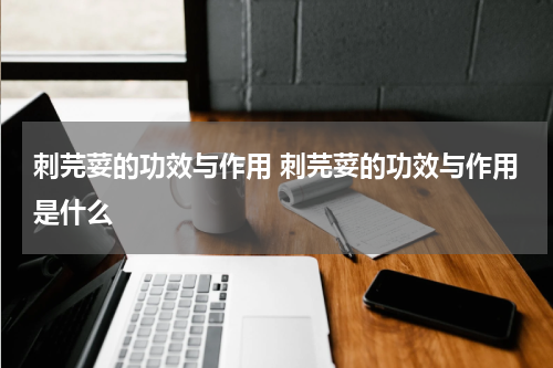 刺芫荽的功效与作用 刺芫荽的功效与作用是什么