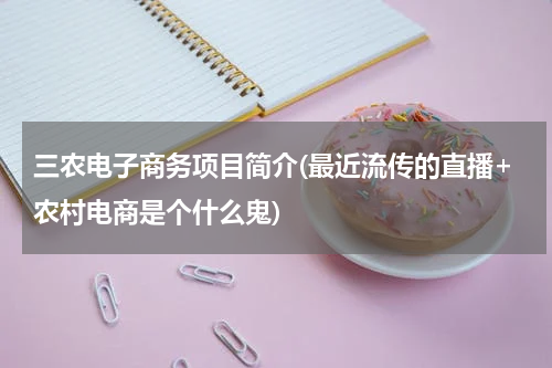 三农电子商务项目简介(最近流传的直播+农村电商是个什么鬼)
