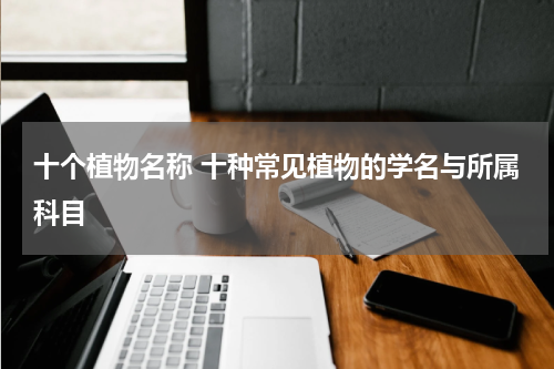 十个植物名称 十种常见植物的学名与所属科目