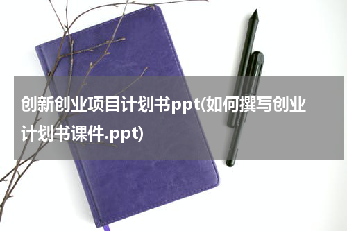 创新创业项目计划书ppt(如何撰写创业计划书课件.ppt)