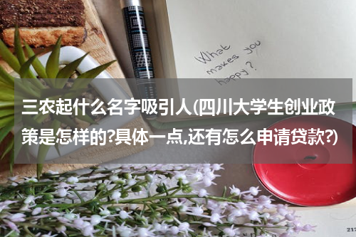 三农起什么名字吸引人(四川大学生创业政策是怎样的?具体一点,还有怎么申请贷款?)